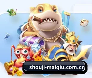 shouji-maiqiu.com.cn的故事